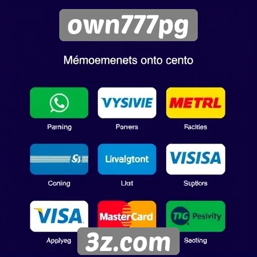 Métodos de pagamento aceitos no own777pg